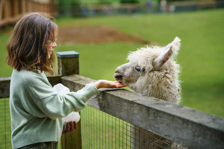 Tier und Natur: Wildparks im Vogelsbergkreis