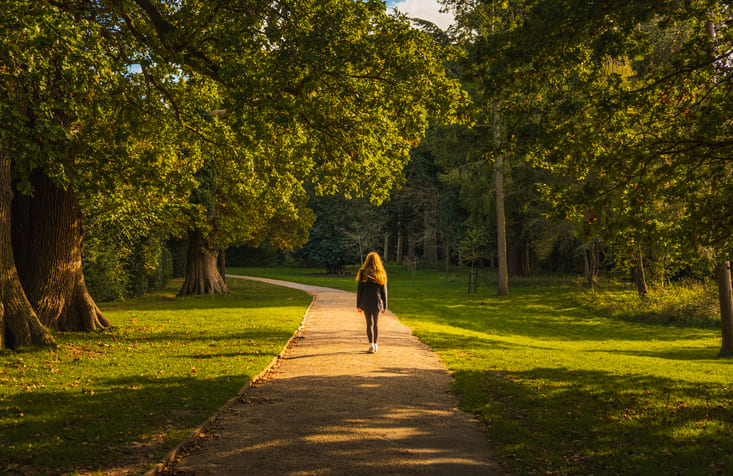 Parks im Vogelsberg-Kreis